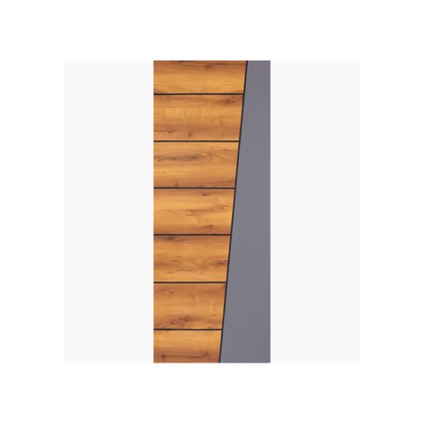 Laminate Door 3